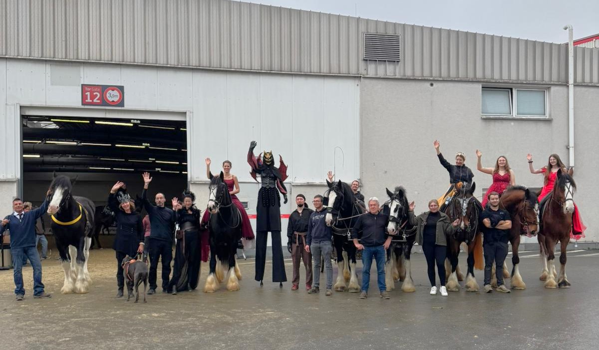 Shire Connection Schönborn Showteam